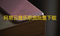 网易云音乐歌曲批量下载器 0.0.8.9 免费版