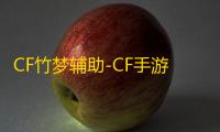 CF竹梦辅助-CF手游方框自瞄竹梦内核版科技